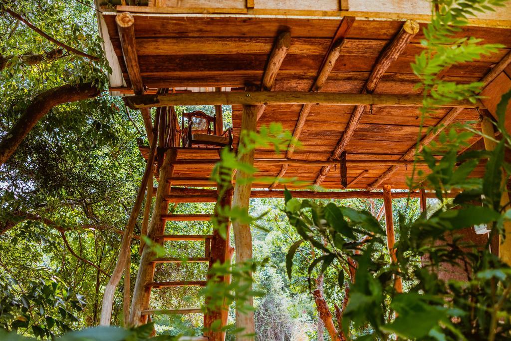 Sigiriya River Side Villa Exterior photo